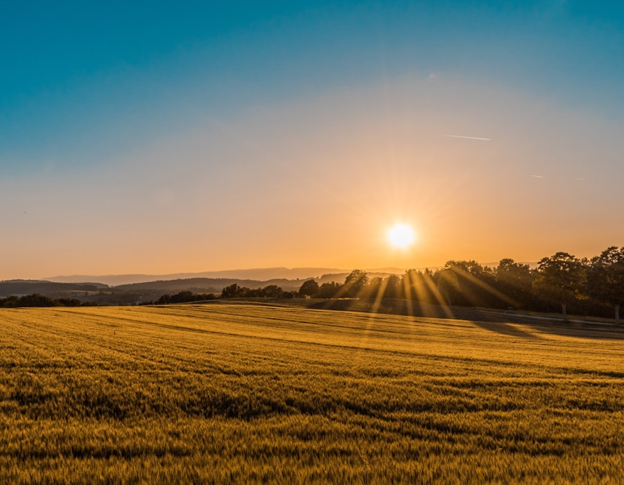 Rural Selwyn District farmland near Lincoln and Rolleston